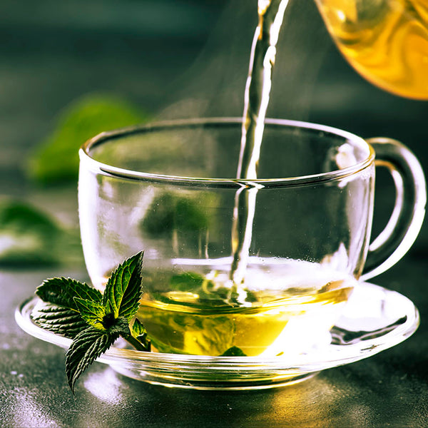 Here Are Some of the Best Teas for Oral Health GREAT ORAL HEALTH