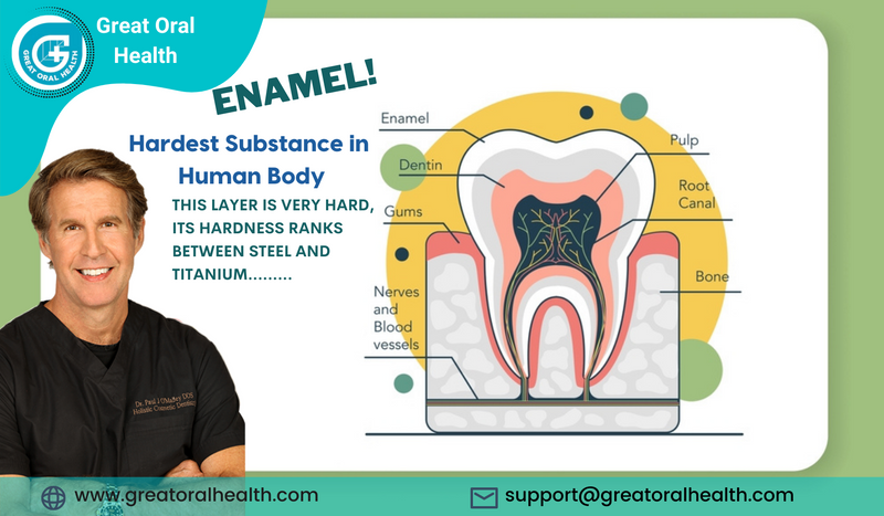 What are teeth made of  | Parts of a Tooth | layers of a Tooth