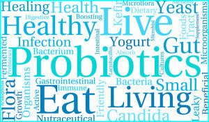 PROBIOTICS 101, IS A GREAT GUT POSSIBLE?