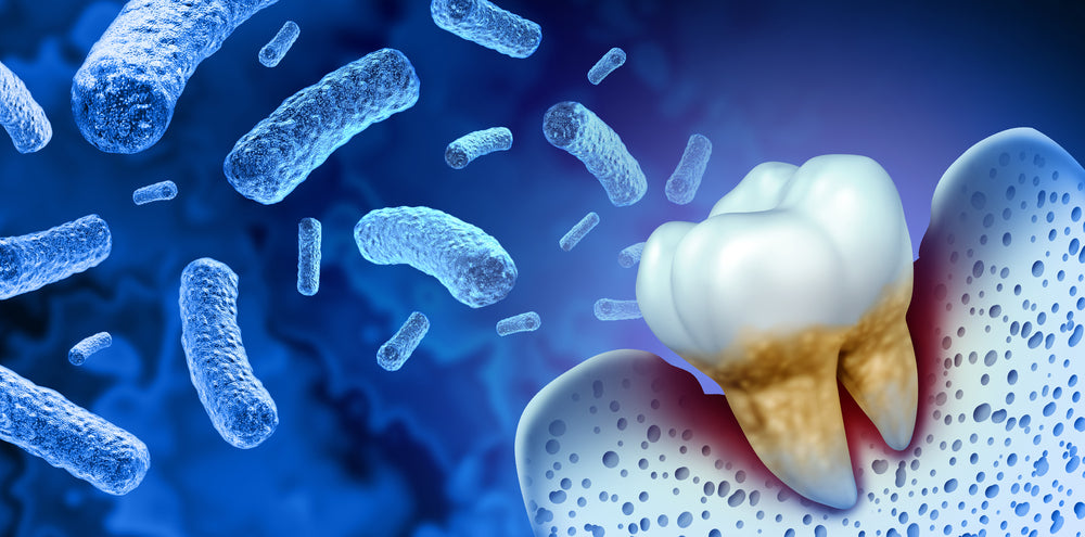 What Are The Most Common Oral Infections – GREAT ORAL HEALTH