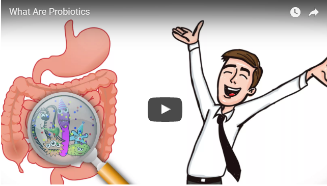 VIDEO–WHAT ARE PROBIOTICS, A QUICK INTRO