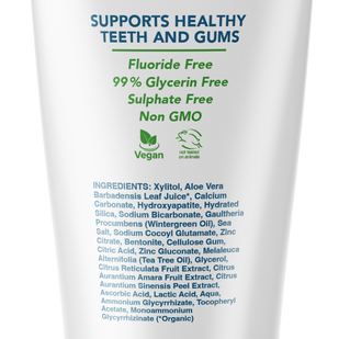 Dentist Formulated Fluoride Free Remineralizing Toothpaste with Nano Hydroxyapatite for Enamel Repair and Sensitive Teeth Wintermint Flavor