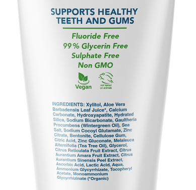 Dentist Formulated Fluoride Free Remineralizing Toothpaste with Nano Hydroxyapatite for Enamel Repair and Sensitive Teeth Wintermint Flavor